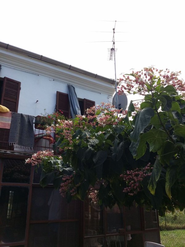 appartamento in vendita ad Alessandria in zona Il Cristo