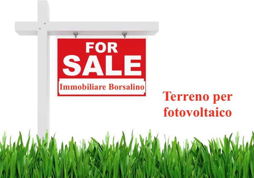 terreno agricolo in vendita ad Alessandria in zona Borgo Cittadella