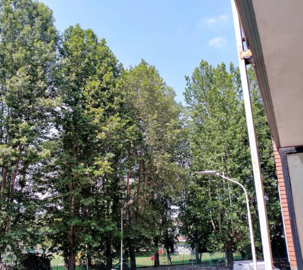 appartamento in vendita ad Alessandria in zona Centro Città