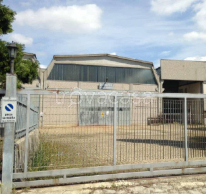 terreno edificabile in vendita ad Alessandria in zona Spinetta Marengo