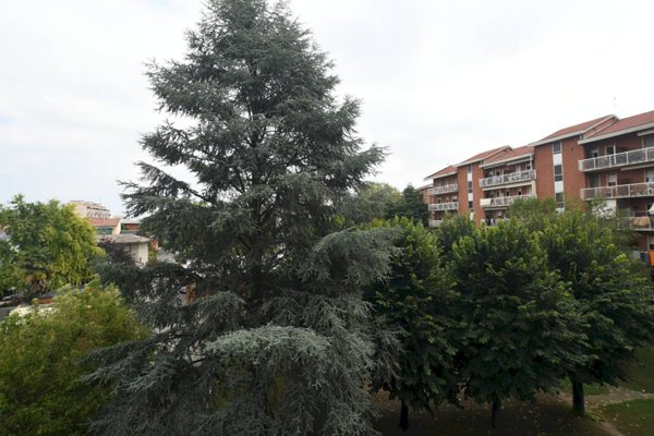 appartamento in vendita ad Alessandria in zona Il Cristo