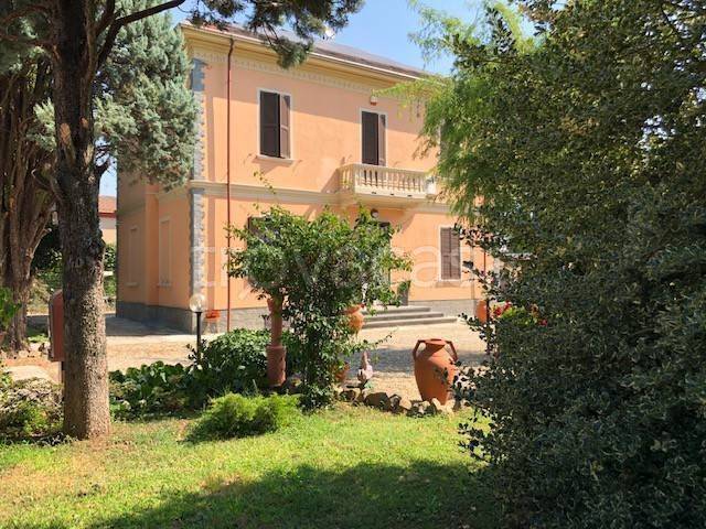 casa indipendente in vendita ad Alessandria in zona Spinetta Marengo