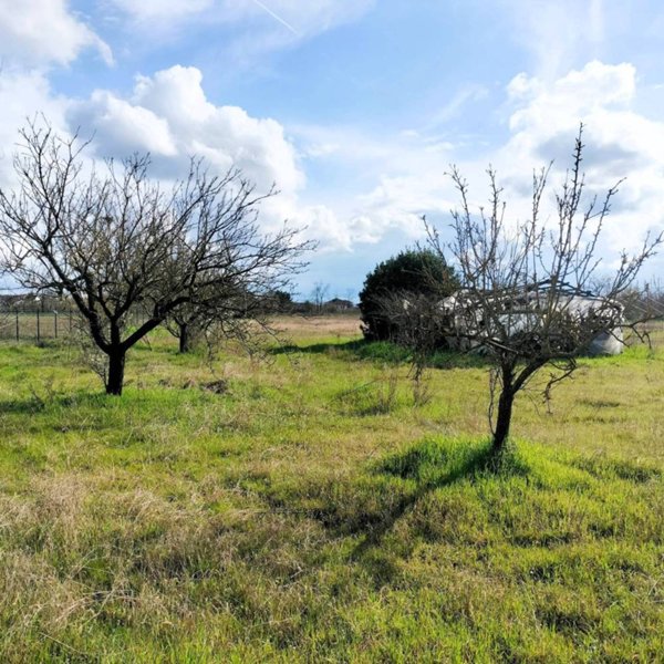 casa indipendente in vendita ad Alessandria in zona San Giuliano Vecchio