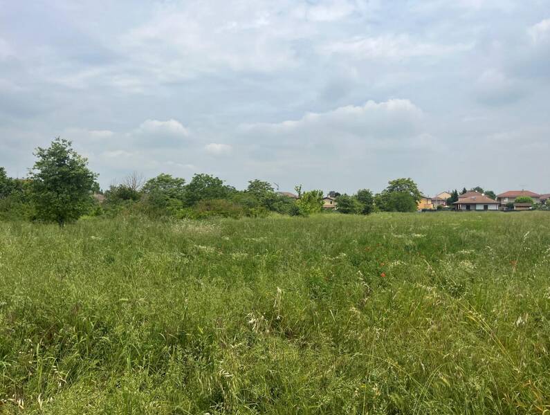 terreno edificabile in vendita ad Alessandria in zona Spinetta Marengo