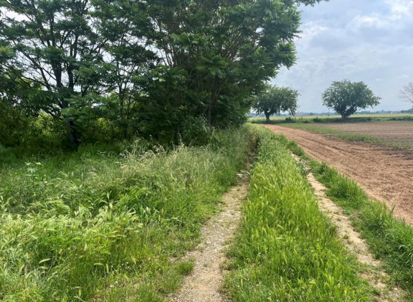 terreno edificabile in vendita ad Alessandria in zona Spinetta Marengo