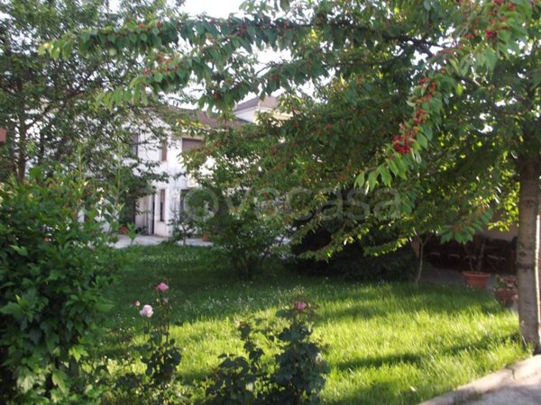 casa indipendente in vendita ad Alessandria in zona Cascinagrossa