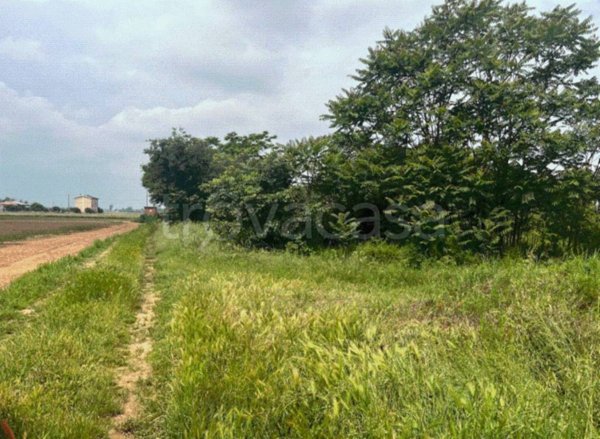 terreno edificabile in vendita ad Alessandria in zona Spinetta Marengo