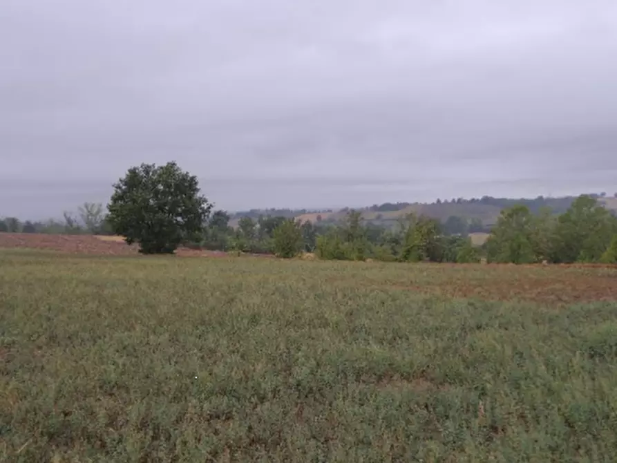 terreno edificabile in vendita ad Alessandria in zona Valmadonna