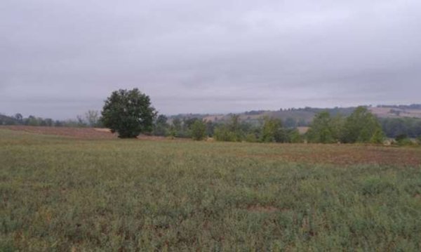 terreno edificabile in vendita ad Alessandria in zona Valmadonna