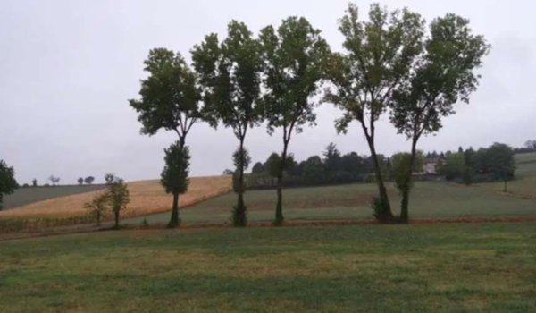 terreno edificabile in vendita ad Alessandria in zona Valmadonna