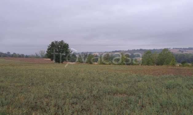 appartamento in vendita ad Alessandria in zona Valmadonna