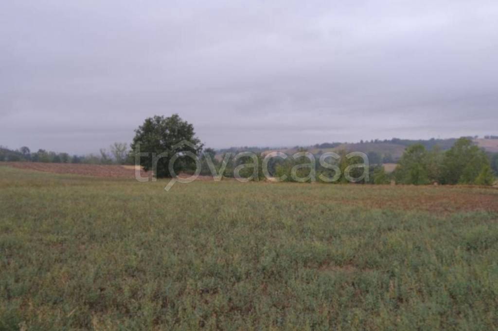 terreno agricolo in vendita ad Alessandria in zona Valmadonna