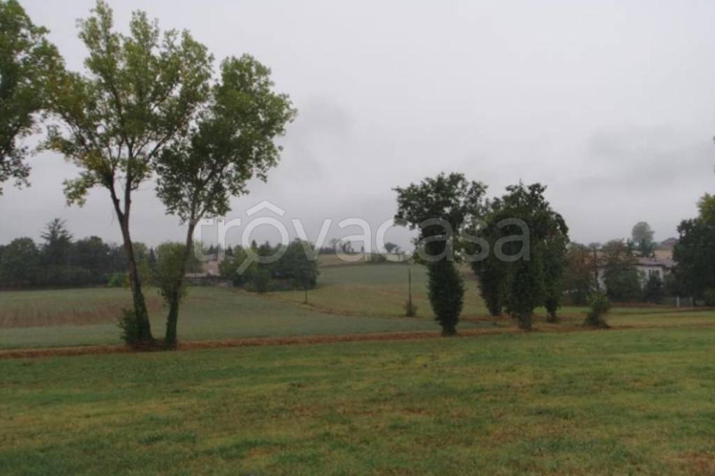 terreno agricolo in vendita ad Alessandria in zona Valmadonna