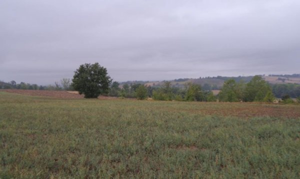 terreno edificabile in vendita ad Alessandria in zona Valmadonna