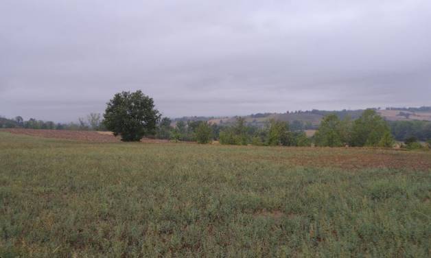 terreno edificabile in vendita ad Alessandria in zona Valmadonna
