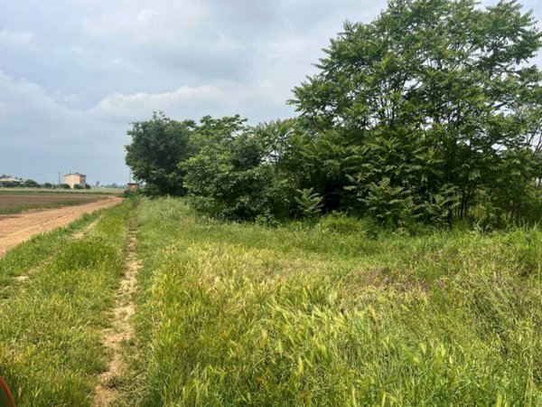 terreno edificabile in vendita ad Alessandria in zona Spinetta Marengo