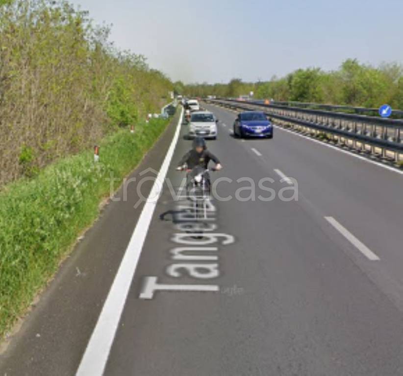 terreno agricolo in vendita ad Alessandria in zona Il Cristo