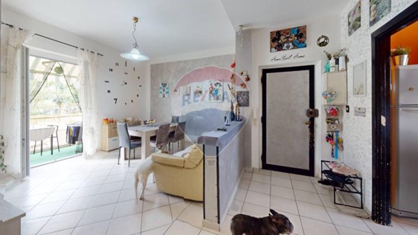 immagine annuncio 0 di 14