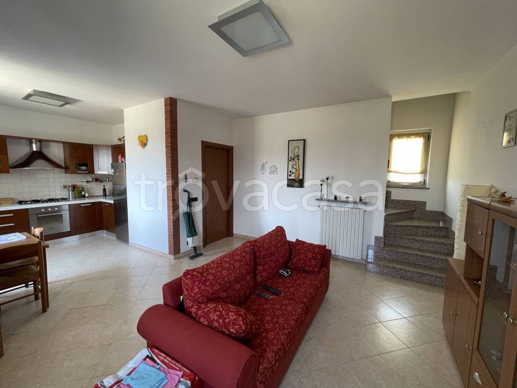 casa indipendente in vendita ad Alessandria in zona Litta Parodi