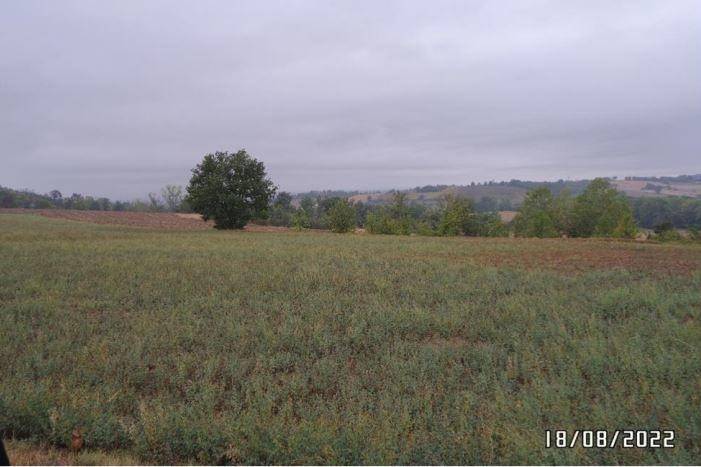 ufficio in vendita ad Alessandria in zona Valmadonna