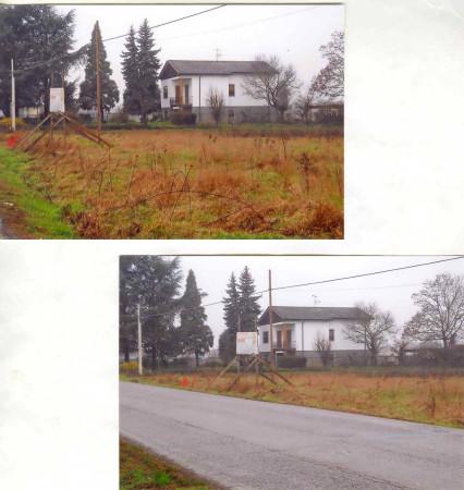 negozio in vendita ad Alessandria in zona Lobbi