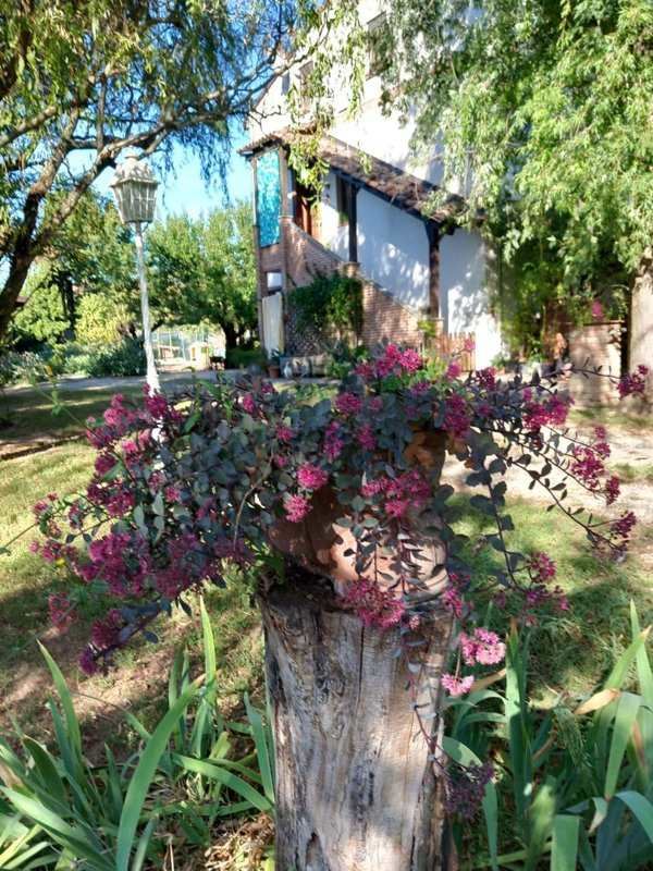 casa indipendente in vendita ad Alessandria in zona Valmadonna