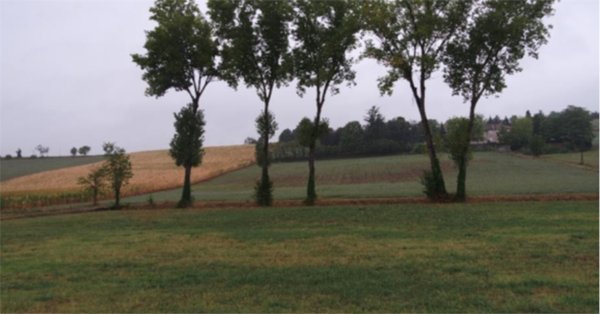 terreno edificabile in vendita ad Alessandria in zona Valmadonna