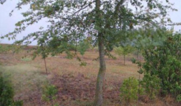 terreno edificabile in vendita ad Alessandria in zona Valmadonna