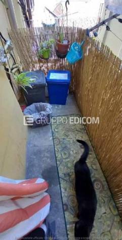 appartamento in vendita ad Alessandria