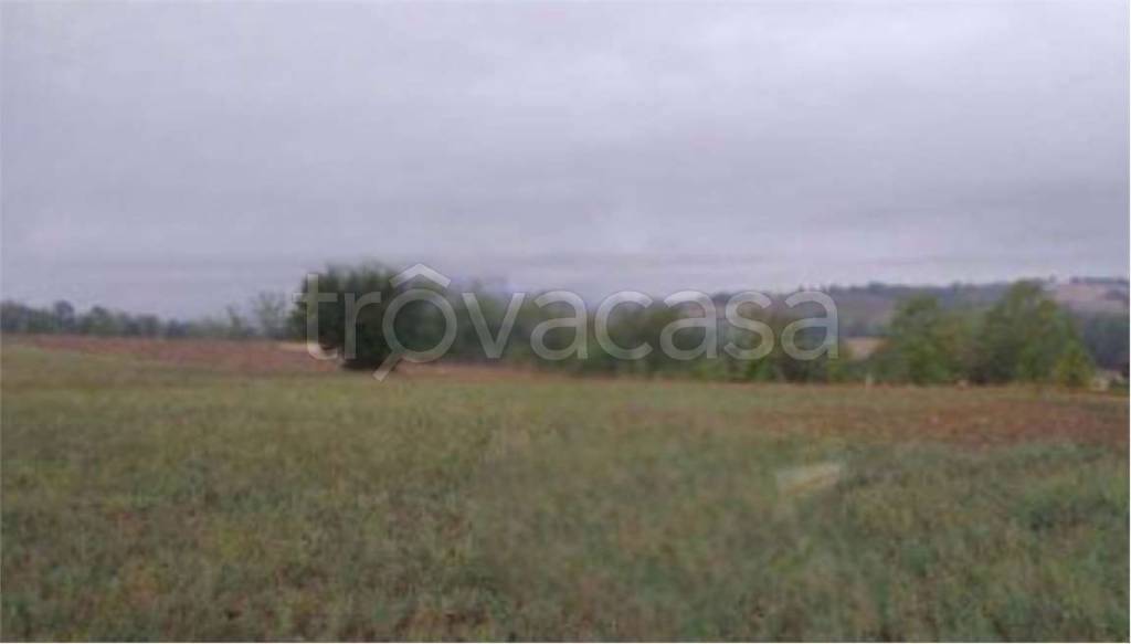 appartamento in vendita ad Alessandria in zona Valmadonna