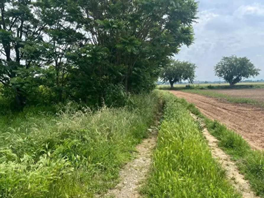 terreno edificabile in vendita ad Alessandria in zona Spinetta Marengo