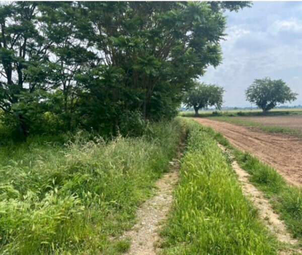 terreno edificabile in vendita ad Alessandria in zona Spinetta Marengo