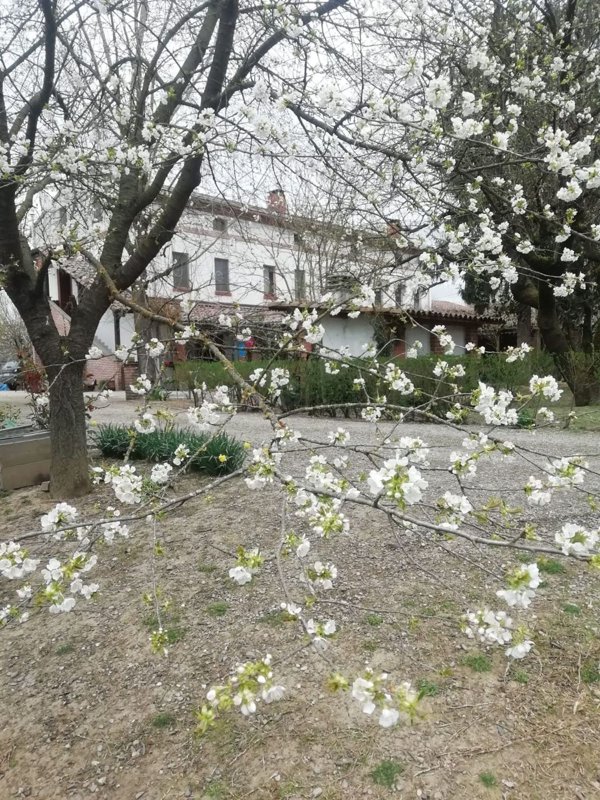 casa indipendente in vendita ad Alessandria in zona San Michele