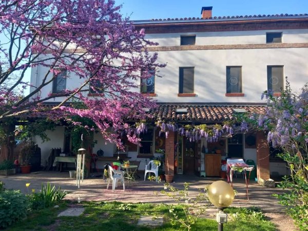 casale in vendita ad Alessandria in zona San Michele