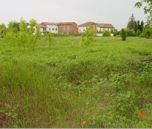 terreno edificabile in vendita ad Alessandria in zona Cantalupo