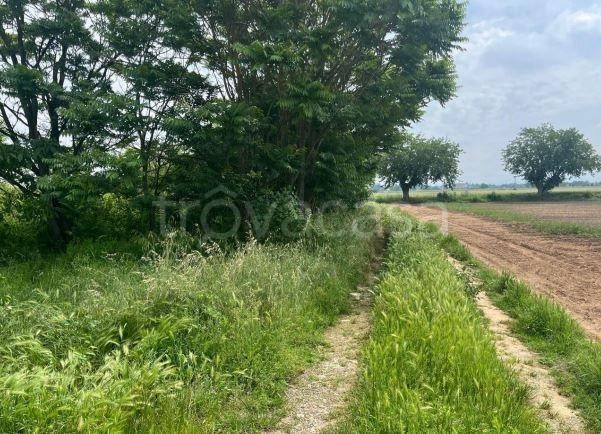 ufficio in vendita ad Alessandria in zona Spinetta Marengo