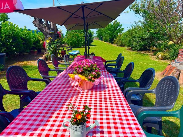 casa indipendente in vendita ad Alessandria in zona Mandrogne