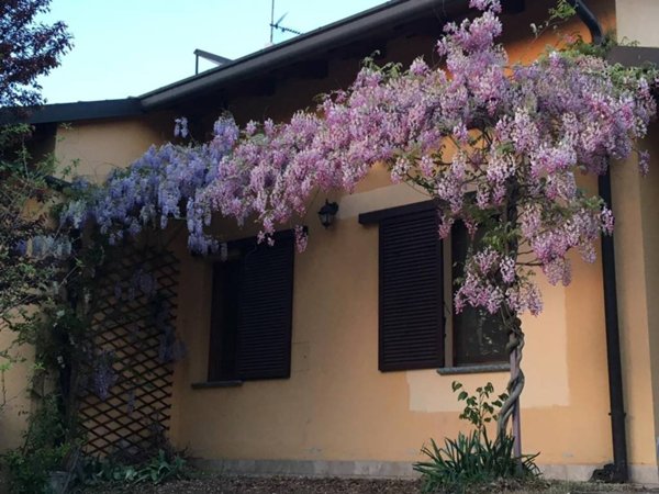 casa indipendente in vendita ad Alessandria in zona Spinetta Marengo