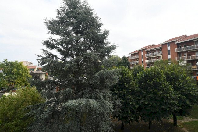 casa indipendente in vendita ad Alessandria