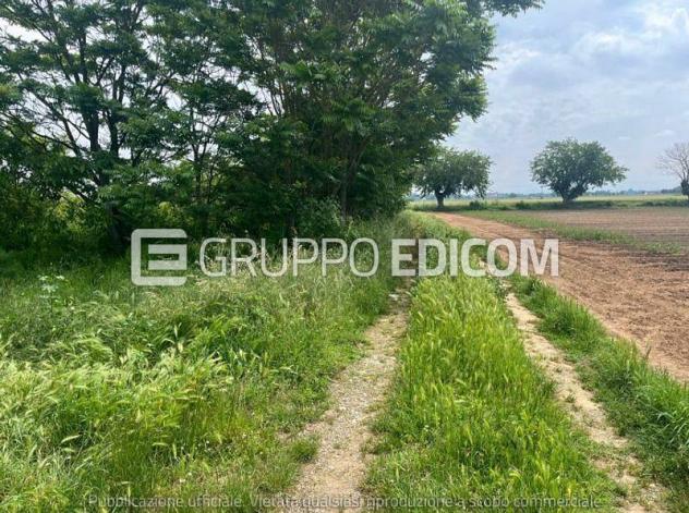 terreno edificabile in vendita ad Alessandria in zona Spinetta Marengo