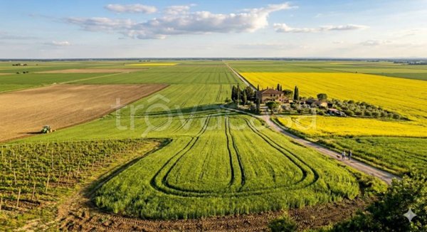 terreno agricolo in vendita ad Alessandria in zona San Giuliano Vecchio