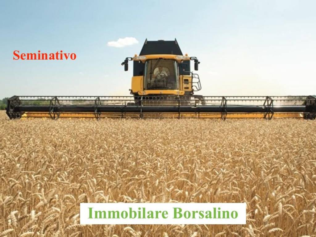 terreno agricolo in vendita ad Alessandria in zona Piazza Garibaldi
