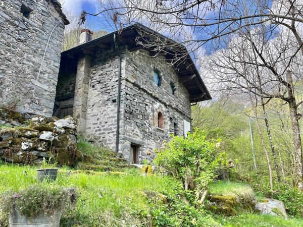 quadrivano in vendita a Rosazza