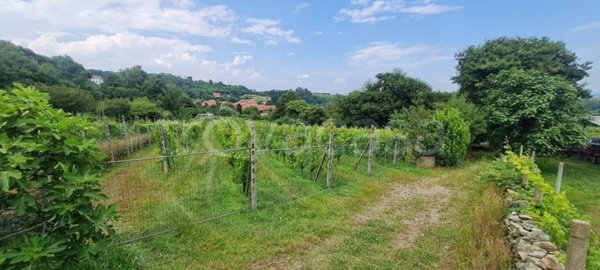 terreno agricolo in vendita a Salussola in zona San Secondo