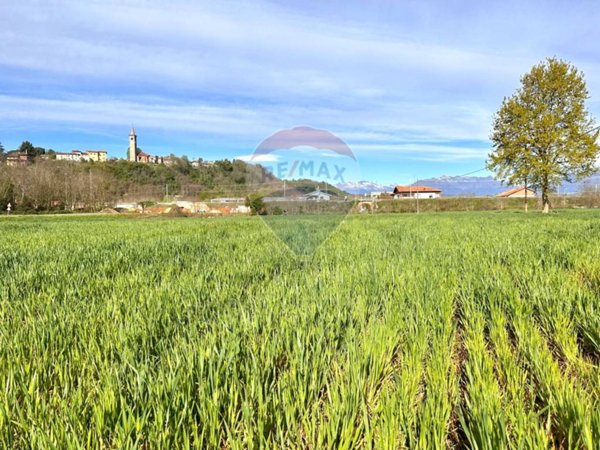 terreno agricolo in vendita a Salussola
