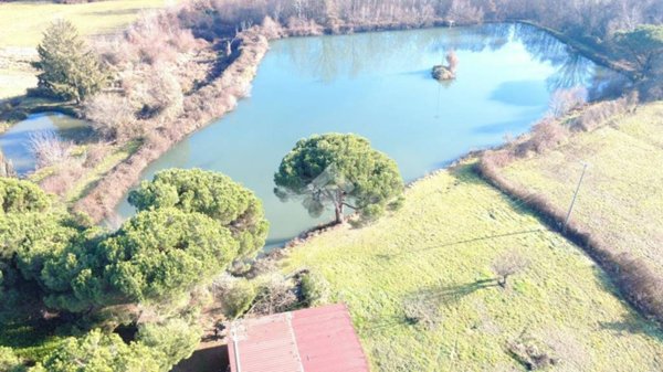 negozio in vendita a Salussola in zona San Secondo