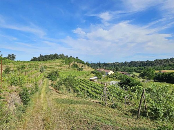 casa indipendente in vendita a Salussola in zona San Secondo