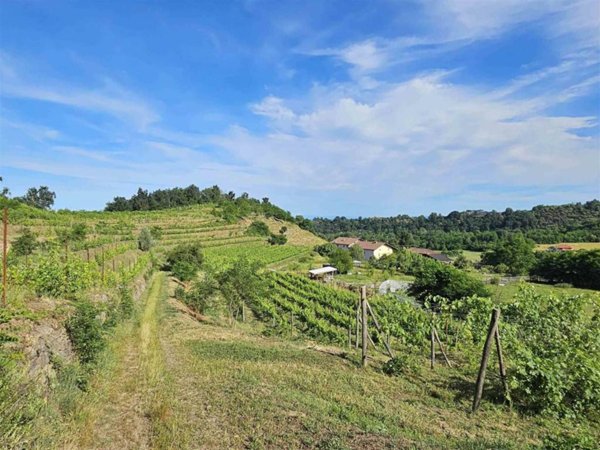 casa indipendente in vendita a Salussola in zona Prelle