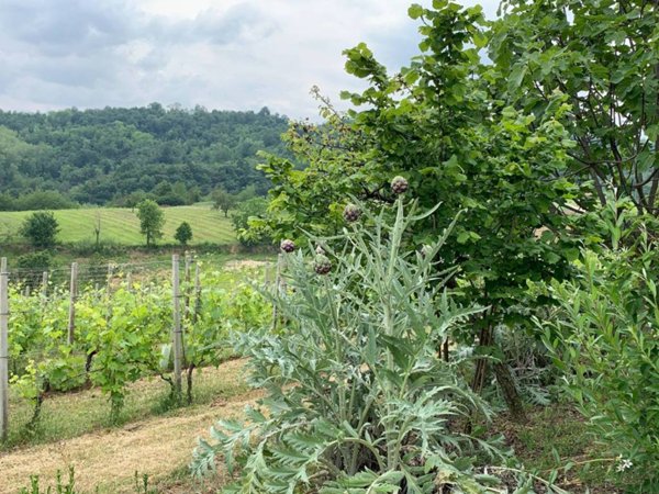 casa indipendente in vendita ad Alfiano Natta