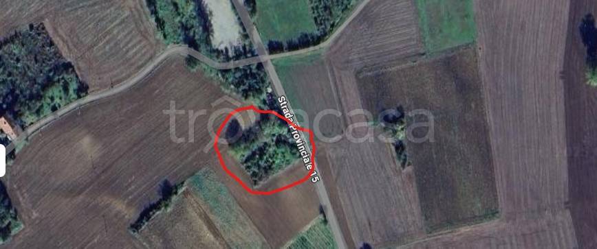 terreno agricolo in vendita ad Alfiano Natta